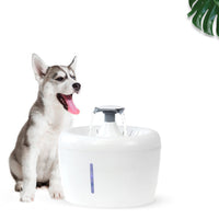 Xiaoyi New Pet Water Dispenser Cats And Dogs Electric Water Dispenser — foto 2