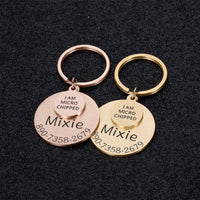 Chapa de Identificación Personalizada — GlowDog
