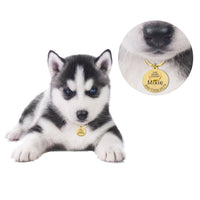 Chapa de Identificación Personalizada — GlowDog