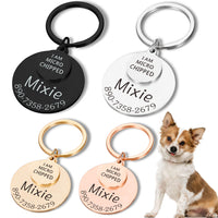 Chapa de Identificación Personalizada — GlowDog