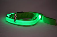 Correa LED Luminosa — GlowDog — foto 6