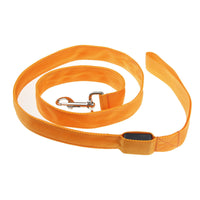 Correa LED Luminosa — GlowDog