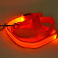 Correa LED Luminosa — GlowDog — foto 5