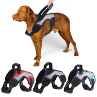 Arnés Antitirones Transpirable — GlowDog — foto 8