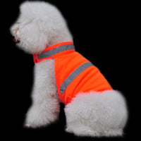 Chaleco de Seguridad Fluorescente — GlowDog