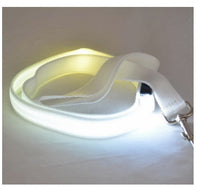 Correa LED Luminosa — GlowDog — foto 7