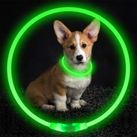Collar LED RGB Recargable — GlowDog — foto 4