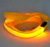 Correa LED Luminosa — GlowDog