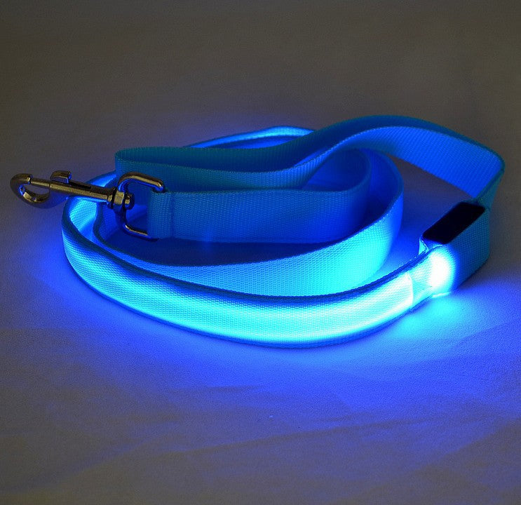 Correa LED Luminosa — GlowDog
