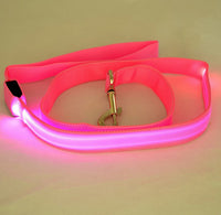 Correa LED Luminosa — GlowDog — foto 8