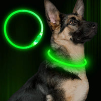 Collar LED RGB Recargable — GlowDog