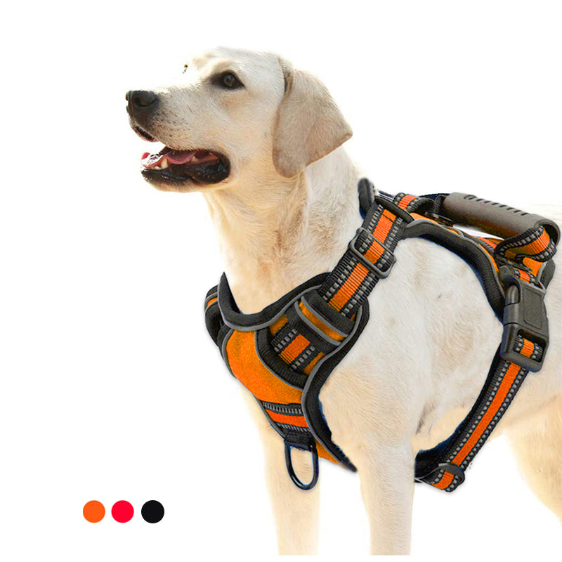Arnés Reflectante Sin Tirones — GlowDog
